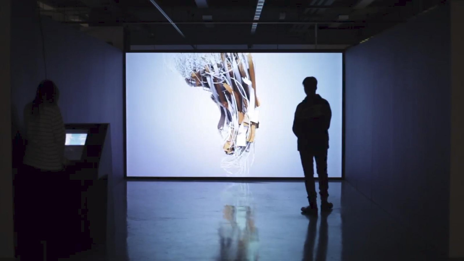 Forms installation view at the National Media Museum, In the Blink of an Eye: Media and Movement, 2012.