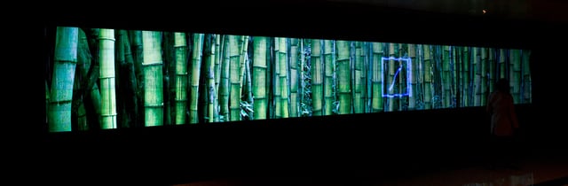 dbhk_nature_03