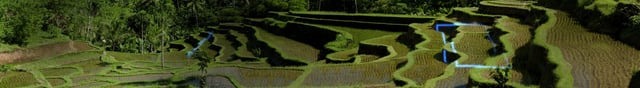 dbhk_nature_04