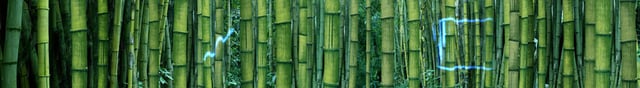 dbhk_nature_09