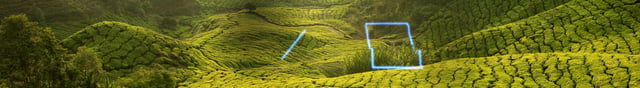 dbhk_nature_10