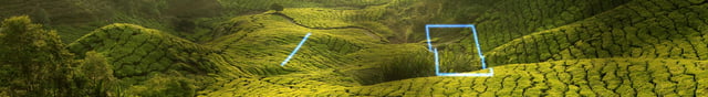 dbhk_nature_21