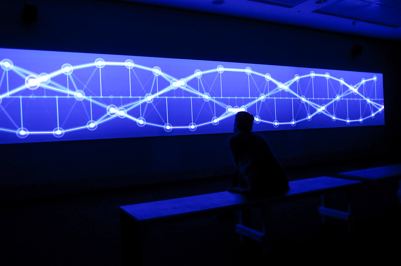 Simple Harmonic Motion #5 project