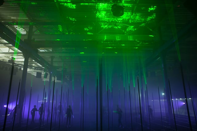 Laser Forest by Marshmallow Laser Feast, installation view. Photo: Sandra Ciampone.