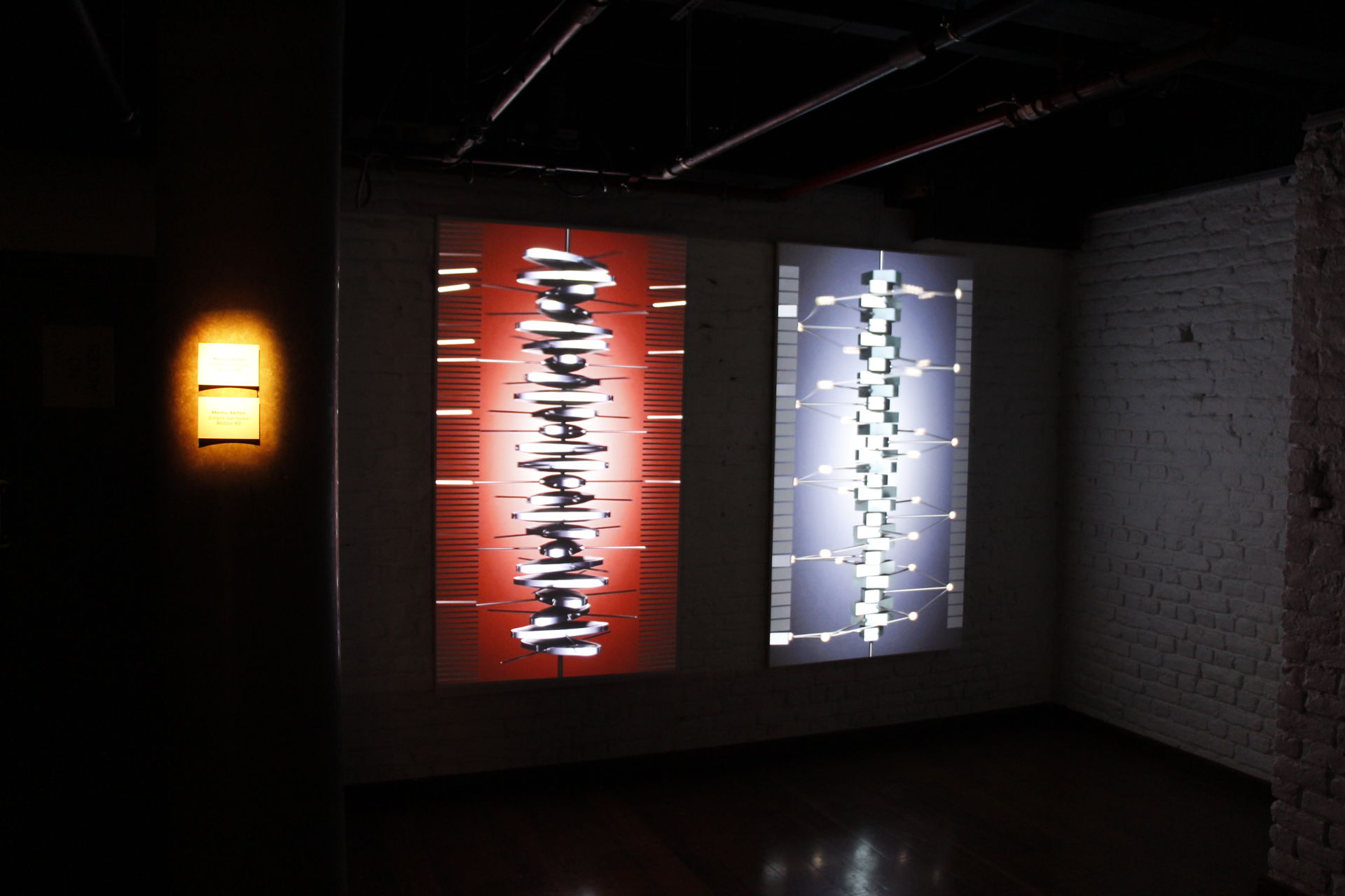Simple Harmonic Motion #8, #9 project