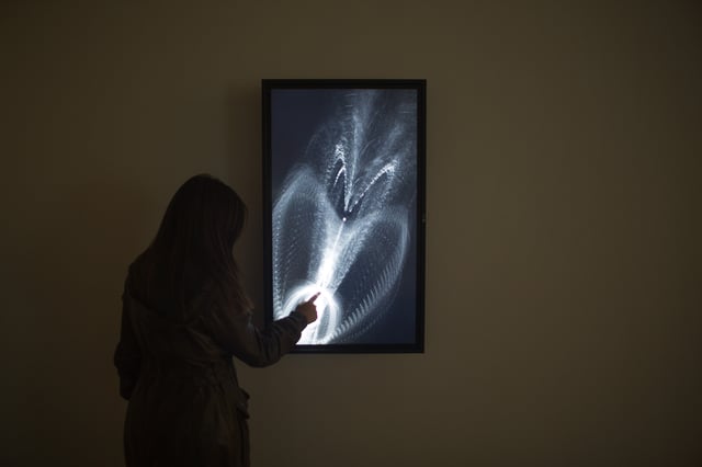 Equilibrium installation view at Laboratoria Art & Science Space, Moscow, Russia, 2014.