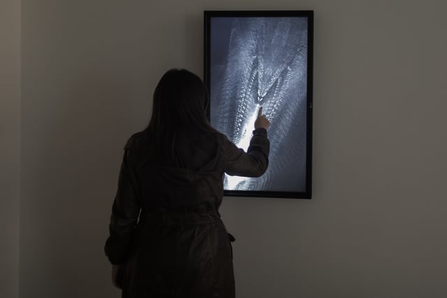 Equilibrium installation view at Laboratoria Art & Science Space, Moscow, Russia, 2014.