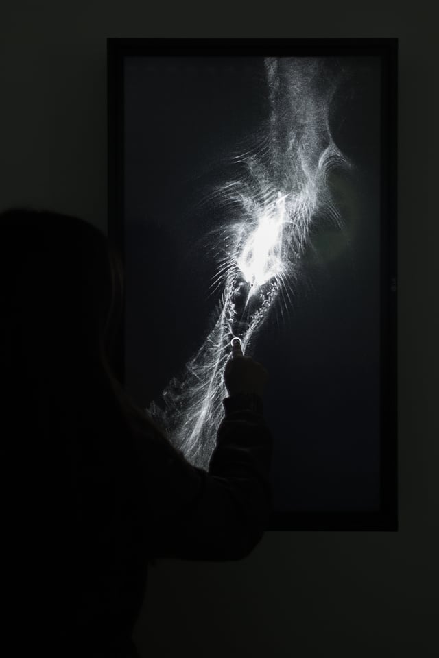 Equilibrium installation view at Laboratoria Art & Science Space, Moscow, Russia, 2014.