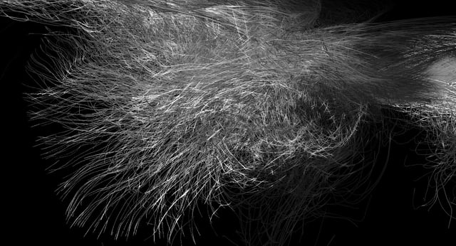 msa_waves2014_027.448