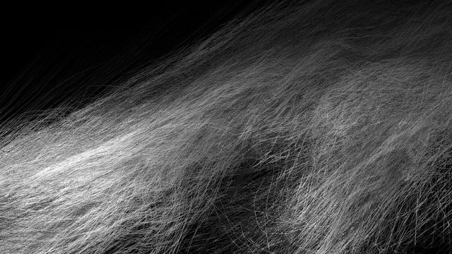 msa_waves2014_028.451