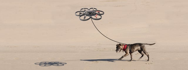 drone-dog-walking