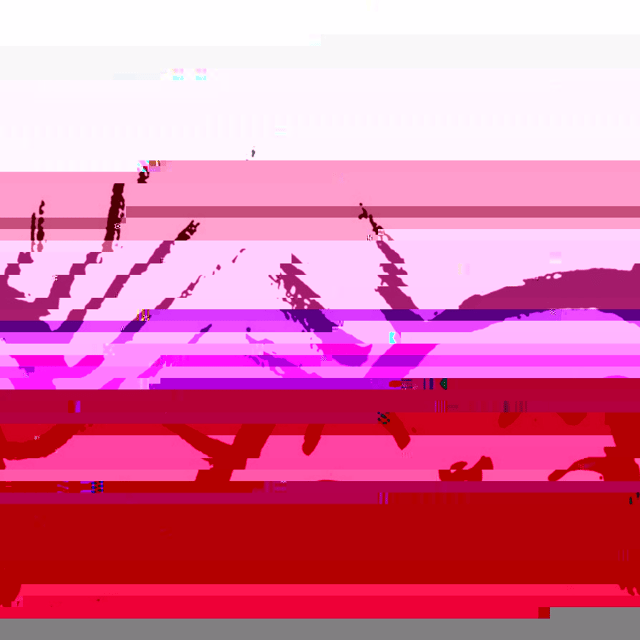 Petita DumDum Techa project
