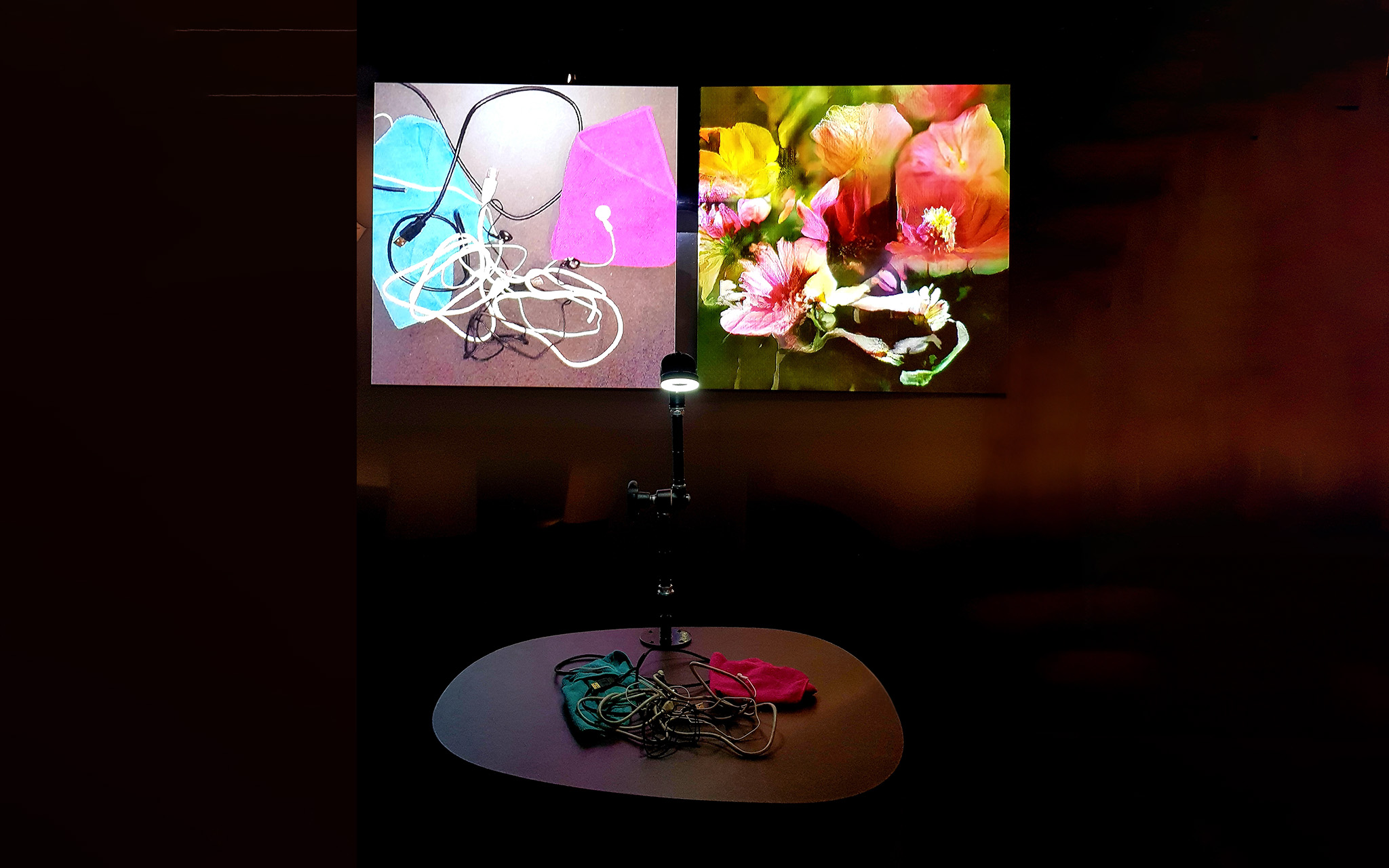Interactive project