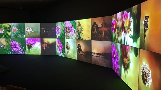 Deep Meditations: A brief history of almost everything by Memo Akten, installation view in Cybernetic Consciousness, Itaú Cultural, São Paulo, Brazil, 2019.