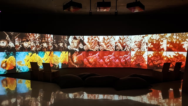 Deep Meditations: A brief history of almost everything by Memo Akten, installation view in Cybernetic Consciousness, Itaú Cultural, São Paulo, Brazil, 2019.