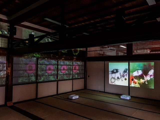 Deep Meditations: A brief history of almost everything by Memo Akten, installation view at Kennin-ji Temple, Kyoto, Japan, 2019.