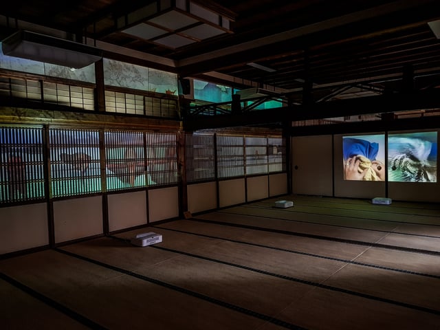Deep Meditations: A brief history of almost everything by Memo Akten, installation view at Kennin-ji Temple, Kyoto, Japan, 2019.