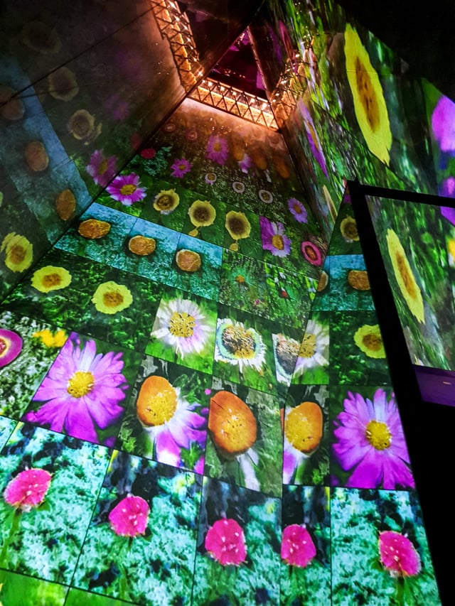 Deep Meditations: A brief history of almost everything by Memo Akten, installation view in Voices of Sónar+D, ME by Melia Atrium (ME London), London, UK, 2019.