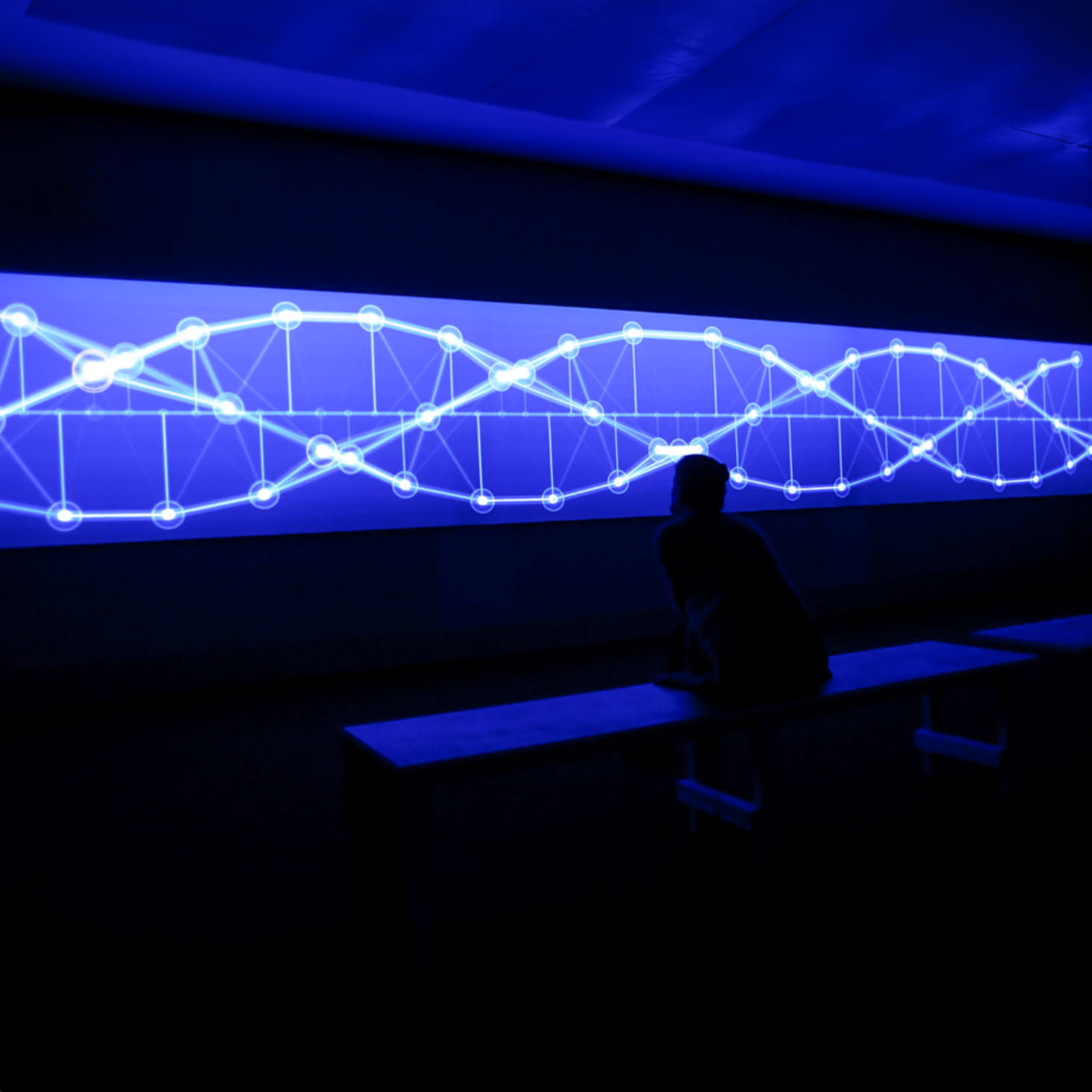 Simple Harmonic Motion project