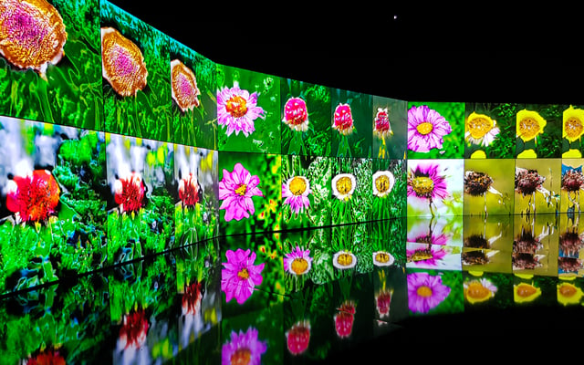Deep Meditations: A brief history of almost everything by Memo Akten, installation view at Sónar+D, Barcelona, Spain, 2019.