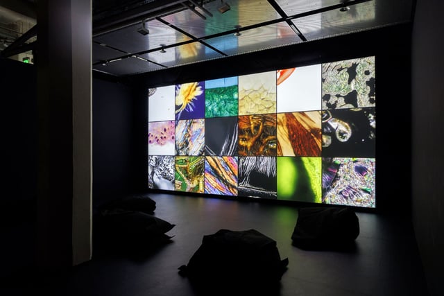 “Deep Meditations: Abiogenesis (2020)” Installation view “The Beauty of Early Life”, 2022, © ZKM | Center for Art and Media Karlsruhe, Photo: Felix Grünschloss.