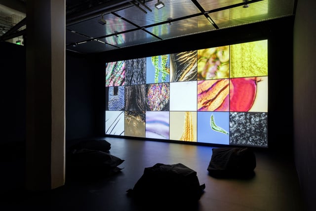 “Deep Meditations: Abiogenesis (2020)” Installation view “The Beauty of Early Life”, 2022, © ZKM | Center for Art and Media Karlsruhe, Photo: Felix Grünschloss.