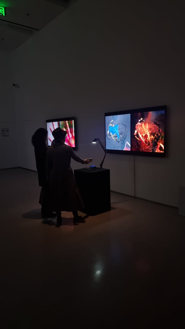 memo-akten-learning-to-see-creative-machines-taikang-beijing-20241115-173649