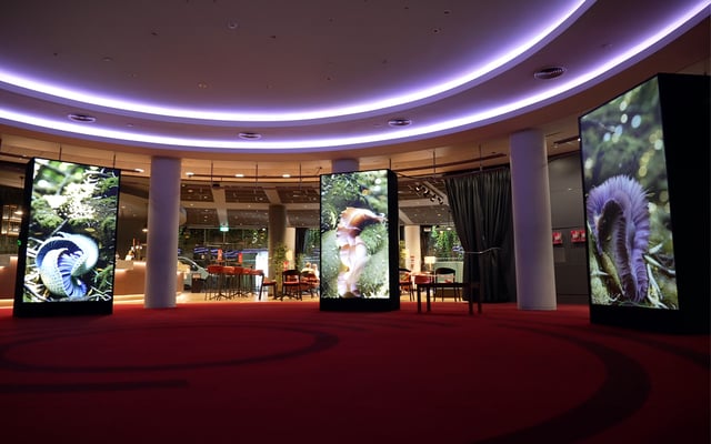 BFI London Film Festival project